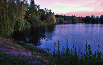 Утренняя тишина / ***