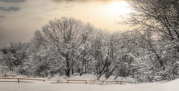 Февраль. / Природный заказник реки Сетунь.