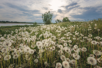 &nbsp; / Вот и заканчивается весна...