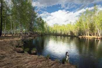 Майский дождик. / Из серии "Весна"