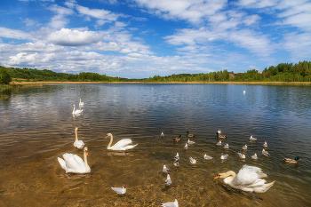Май - Городищенское озеро / ***