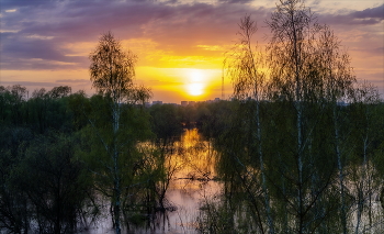 ВЕСЕННИЙ ВЕЧЕР ДОГОРАЛ... / 2023