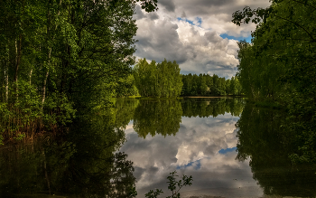 Тёплый май (облачный край) # 08 / 21 мая 2023 года. Восток Подмосковья, Дрезна.