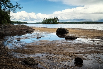 Весенний Монрепо. / Выборг. Май 2023.