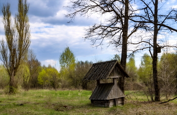 ВЕСНА БЕЗ ХОЗЯЕВ... / Демьянки — деревня зоны отчуждения. (Гомельская обл. Добрушский р-н) 2023 апрель