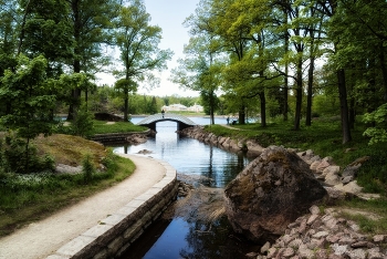 Весенний Монрепо. / Выборг. Май 2023.