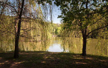 В весеннем парке... / ***