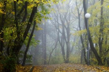 В осеннем парке......... / Железноводск. Октябрь