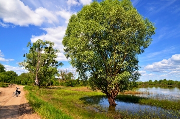 &nbsp; / Прогулуа