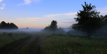 По дороге... / В лугах Мещеры.