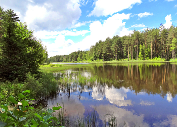 Летним днём на озере / Летним днём на озере