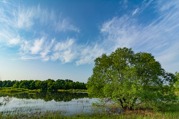 &nbsp; / на пруду