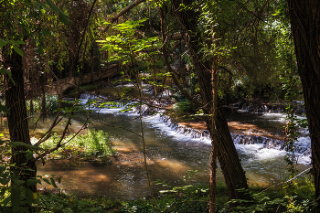 Речка в густом лесу / Эта лесная речушка течёт в лесу, сохранившим девственную природу, создавая пороги, водопады, пруды и маленькие озера. Лес этот входит в туристический комплекс Каменного Монастыря (Monasterio de Piedra, Нуэвалос (Nuévalos), Сарагоса).