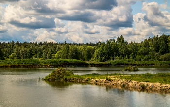 Утро Святой Троицы # 06 / 04.06.2023. Дальний восток Московской области, Дрезна.