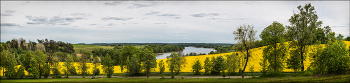 Yellow Fields under Silver Sky / Panorama of yellow rapeseed fields with a lake between green hills under a silver cloudy sky