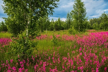 &nbsp; / п.Дубровка.Татарстан,Зеленодольский р-он