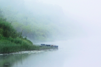 "Туман над водой... Тихо... Только рыба всплеснет..." / Утренний этюд ...