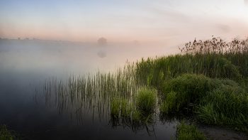 Туман / Калужская область. На озере.