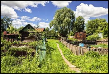 Городская окраина / Огород