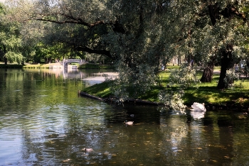 Летом в Гатчине / Июнь 2023