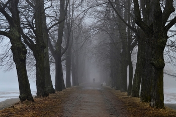 В аллеях весенних..... / Петергоф. Красный пруд. Март