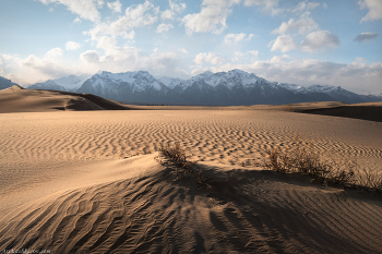 "Чарская пустыня" / Чарская пустыня расположена в окружении рек и болот в регионе с довольно влажным климатом, и более того, в зоне вечной мерзлоты. Практически у каждого сразу возникает вопрос: "Откуда взялась пустыня в таком месте?" В действительности она имеет ледниковое происхождение и начала формироваться около 40 тысяч лет назад. Ледник, сошедший с Кодарских гор, перегородил выход из долины, в следствии чего образовалось огромное озеро, разлившееся на всю Чарскую долину. Через несколько тысяч лет, после таяния льдов, озеро практически исчезло, оставив после себя огромные массивы донных отложений, в основном в виде песка и гравия. Многие тысячи лет они перевеивались песками, формируя песчаные дюны и гряды
