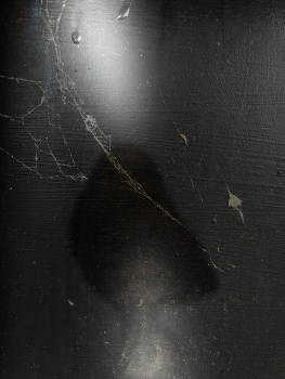  / The secret