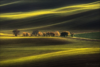 Нити света / Чехия, Южная Моравия.
© https://phototravel.pro/phototravel2023