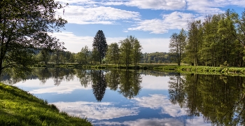 &nbsp; / sich spiegelnde Uferlandschaft am Regen