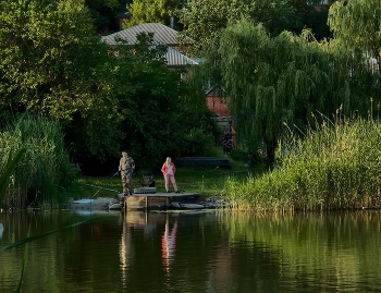 На берегу Лета / ...