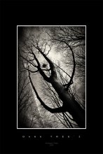 Dark TREE`z *2 / ...картинка с выставки)