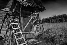 Домик в деревне / Заброшенный дом из детства