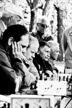 Май, парк и шахматы... / поклонникам индийской игры посвящается