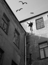  / гавораць, гэта да поспеху.
хто ведае - у гэтым горадзе ўсё мажліва...