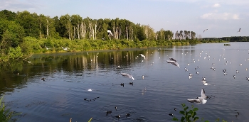 Мытищинские плавни. / Яуза.