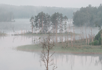 Утро туманное / Заветные картинки с Заветного озера
