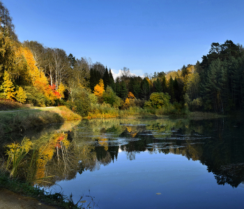 Осенний пруд / Новосибирск, сентябрь 2021 г.