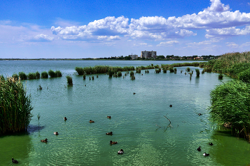 Сакское озеро / Крым, Саки