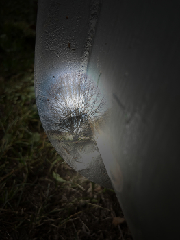 &nbsp; / through the looking glass