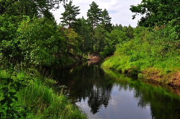 Лесная река Серёжа. / Летний день на лесной реке Серёже.