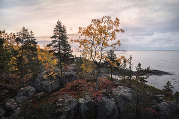 "Осенние краски ладожских скал" / На первый взгляд может показаться, что осенние шхеры мало чем отличаются от летних, ведь преобладающие ландшафты здесь хвойные леса и сосновые редколесья, а скалы покрыты преимущественно мхами, лишайниками и кустиками шикши. Однако помимо хвойных деревьев, здесь довольно много берез, особенно на пострадавших от пожаров островах. То и дело попадаются осины и рябины, добавляющие в осеннюю палитру красные и оранжевые тона. А в нижнем ярусе - заросли черники и голубики, приобретающие с наступлением холодов багряный окрас