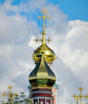 Две главы / Главы Успенской церкви и колокольни Новодевичьего монастыря.