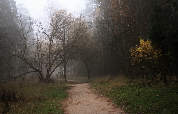 Утра звуки / Сюжет из городского бора, Серпухов