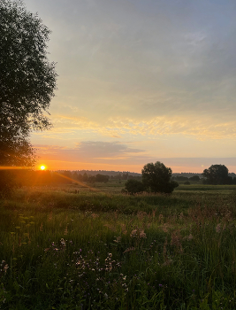 Утреннее / Подмосковье