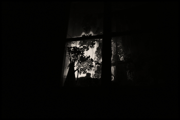 Жизнь вокруг / Описание