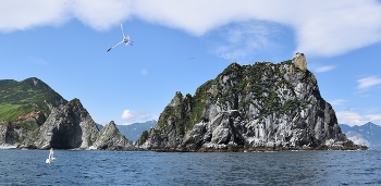 Камчатка. / У бухты "Русская".