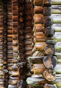 Новгородский музей деревянного зодчества Витославлицы. / 2015 год.