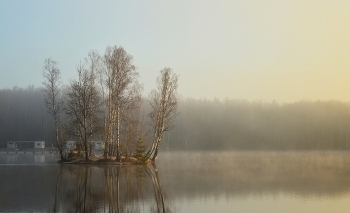 Утром туманным..... / Петербург. Осиновая Роща. Апрель