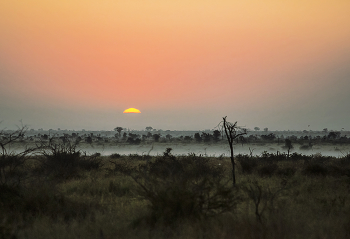 Саванна утром / ЮАР, национальный парк Крюгер