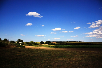 Тень.. / Плывут по небу облака,а тени по земле